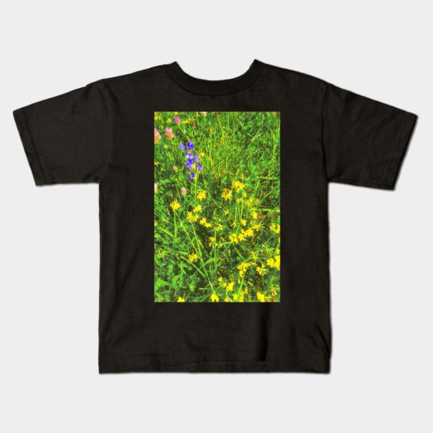 summer meadow Kids T-Shirt by Hujer